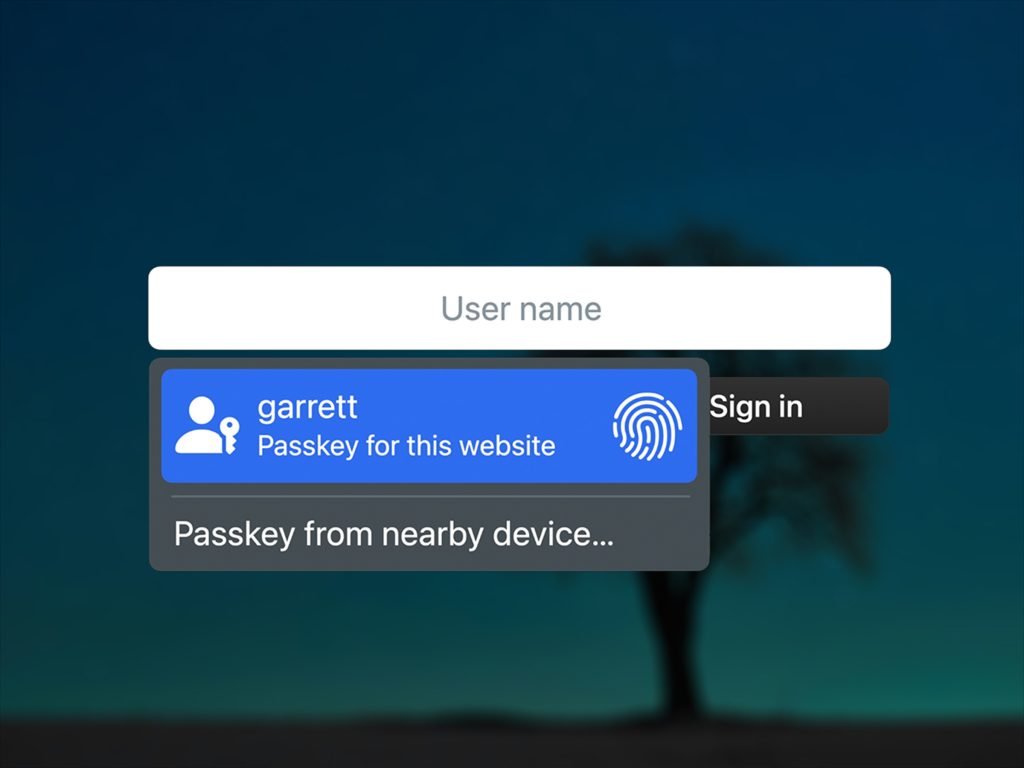 Website Using Passkeys On Mac With Touch ID